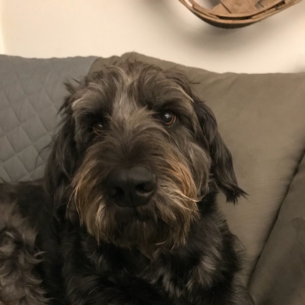 Meet your Posher, Emma